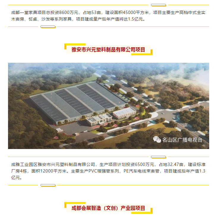 總投資157.1億元！四川省2019年第一季度重大項目集中開工儀式雅安分會場在成雅工業(yè)園區(qū)舉行(圖6)